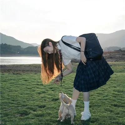 十二生肖：世界末日的迹象